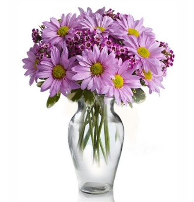 Purple Daisy Bouquet